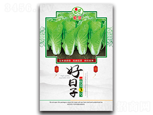 ������-��˷N��-���ŷN�I(y��)