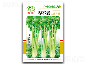 春不老二黃芹菜-芹菜種子-蜀信種業(yè)