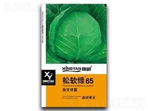 ��ܛ�G65-���{�N��-���зN�I(y��)