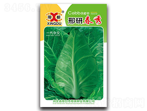 ���д���-���{�N��-���зN�I(y��)