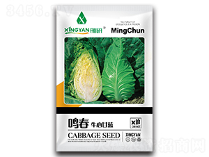 �Q��-���{�N��-���зN�I(y��)