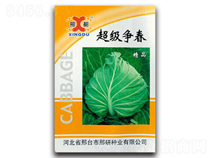 ��������-���{�N��-���зN�I(y��)