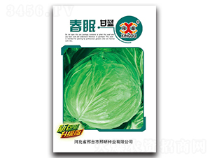 ����-���{�N��-���зN�I(y��)