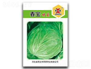 ����-���{�N��-���зN�I(y��)