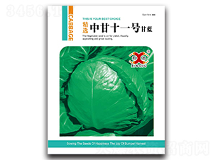 �и�ʮһ-���{�N��-���зN�I(y��)