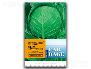 ����-���{�N��-���зN�I(y��)