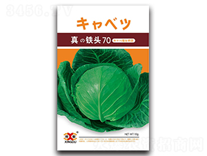 ���F�^70-���{�N��-���зN�I(y��)