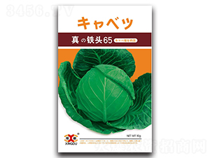 ���F�^65-���{�N��-���зN�I(y��)