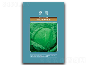 ����-���{(l��n)�N��-���зN�I(y��)