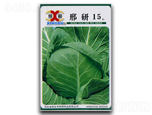 ����15-���{(l��n)�N��-���зN�I(y��)