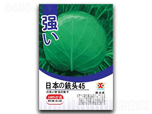 �ձ��F�^45-���{(l��n)�N��-���зN�I(y��)