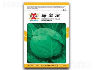 �G��ʯ-���{(l��n)�N��-���зN�I(y��)