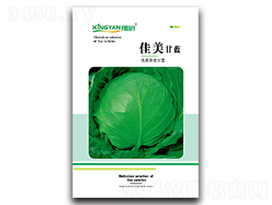 ����-���{(l��n)�N��-���зN�I(y��)