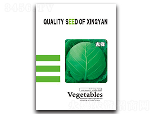 ����-���{(l��n)�N��-���зN�I(y��)