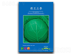 ���m����-���{(l��n)�N��-���зN�I(y��)