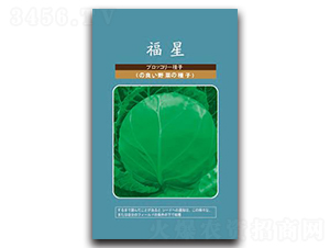 ����-���{(l��n)�N��-���зN�I(y��)