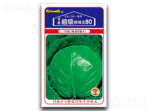 �����F����80-���{(l��n)�N��-���зN�I(y��)