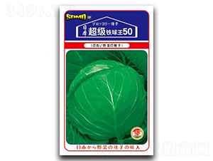 �����F����50-���{(l��n)�N��-���зN�I(y��)