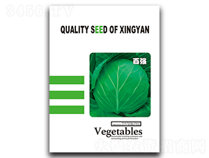 �ُ�(qi��ng)-���{(l��n)�N��-���зN�I(y��)