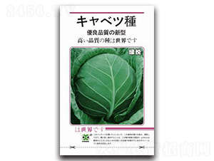 �G��-���{(l��n)�N��-���зN�I(y��)