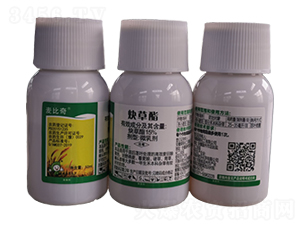 15%Ȳ����΢�鄩-������-�S�՘�