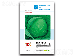 ���m�G��-���{(l��n)�N��-���зN�I(y��)