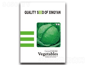 ǧ��-���{(l��n)�N��-���зN�I(y��)