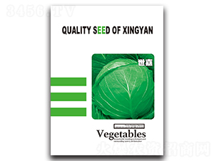 ����-���{(l��n)�N��-���зN�I(y��)