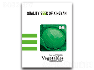 �Ϸ�-���{(l��n)�N��-���зN�I(y��)