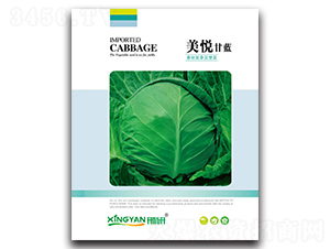 ����-���{(l��n)�N��-���зN�I(y��)