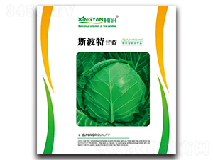 ˹����-���{(l��n)�N��-���зN�I(y��)