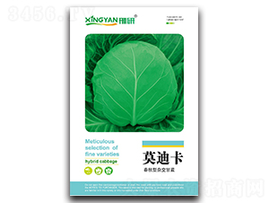 Ī�Ͽ�-���{(l��n)�N��-���зN�I(y��)