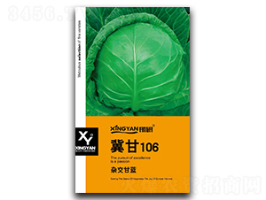 ����106-���{(l��n)�N��-���зN�I(y��)