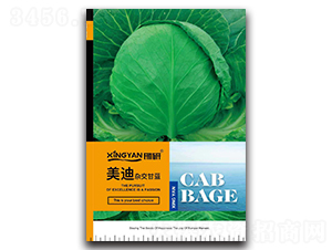 ����-���{(l��n)�N��-���зN�I(y��)