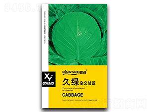 �þG-���{(l��n)�N��-���зN�I(y��)