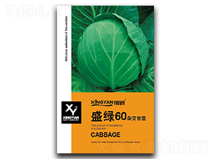 ʢ�G60-���{(l��n)�N��-���зN�I(y��)