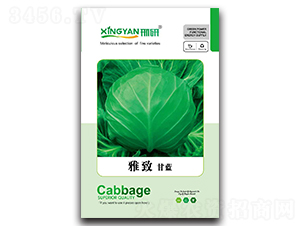 ����-���{(l��n)�N��-���зN�I(y��)