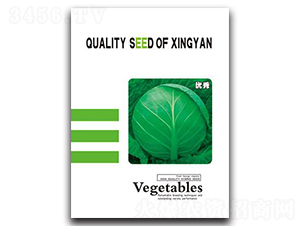 ��(y��u)��-���{(l��n)�N��-���зN�I(y��)