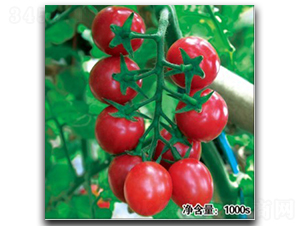 �F����HT11051��-���ѷN��-�մ��r(n��ng)�I(y��)