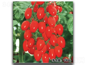 QQ�t�@-���ѷN��-�մ��r(n��ng)�I(y��)