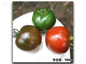 �Z��12044-���ѷN��-�մ��r(n��ng)�I(y��)