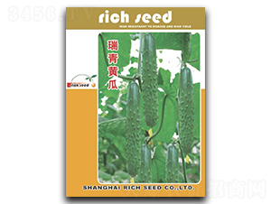 �����S��-�S�ϷN��-����N�I(y��)