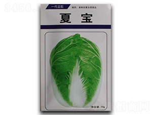 �Č�-�ײ˷N��-����N�I(y��)