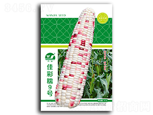 �Ѳ�Ŵ9̖-���׷N��-����N�I(y��)