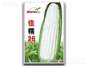 ��Ŵ26-���׷N��-����N�I(y��)