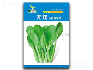 �o�p�uë��-�uë�˷N��-����N�I(y��)