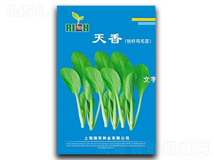 ����-�uë�˷N��-����N�I(y��)