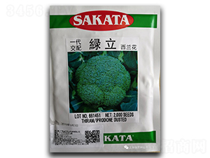 �G��-���m���N��-����N�I(y��)