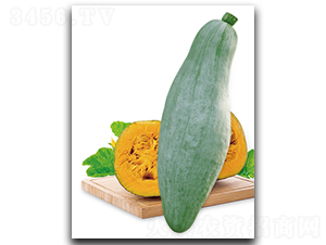 ����S-1000-�ϹϷN��-����N��