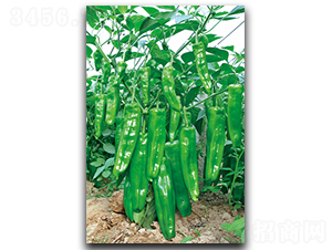 ����S-5-�����N��-����N��